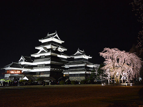 国宝松本城「夜桜会」