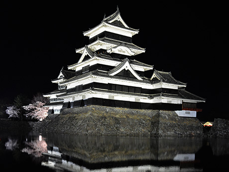 国宝松本城「夜桜会」