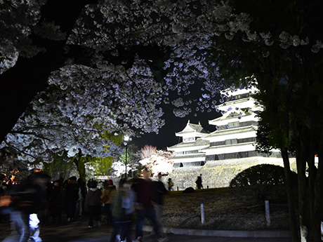 国宝松本城「夜桜会」